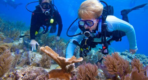 Jane Lubchenco replanting coral