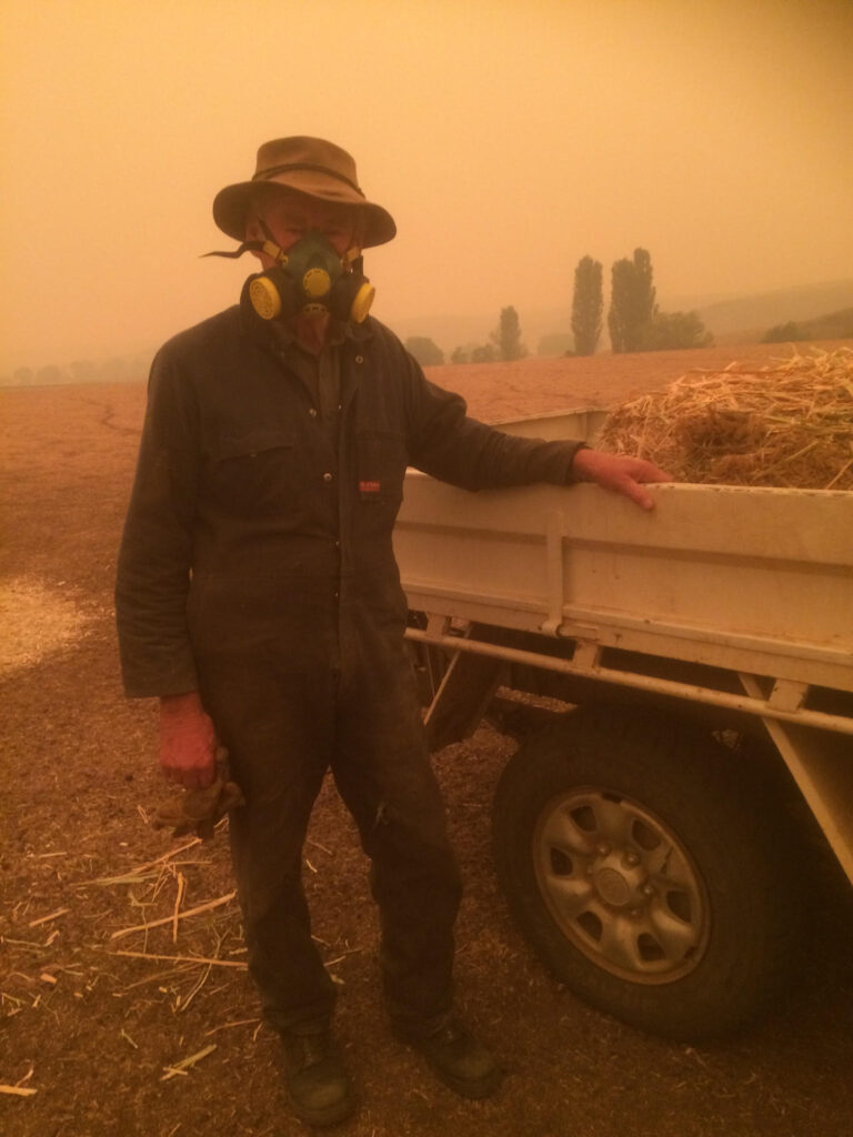 Harriet’s father feeding stock during the Black Summer fires.