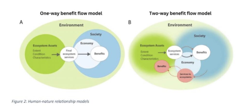 Recognising diverse perspectives in environmental accounting - BroadAgenda